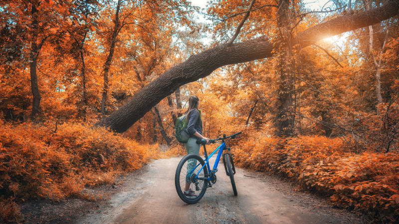 Mountain Bike Trail Crisp Weather Adventures to Enjoy This Fall | Ruhl&Ruhl REALTORS